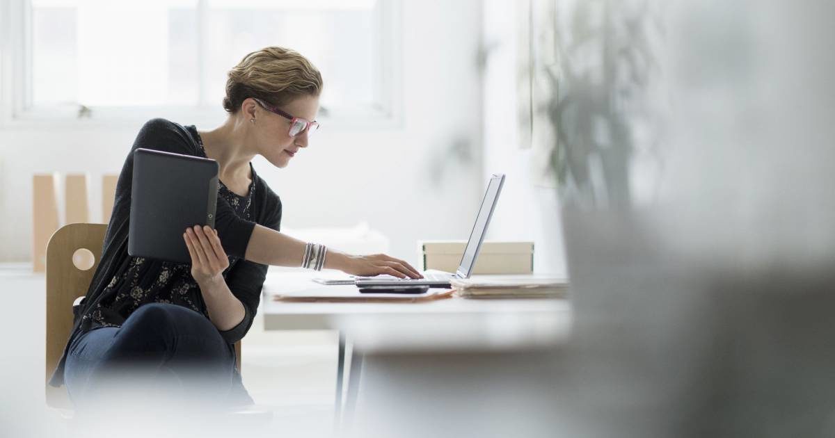 work experience in the translation industry