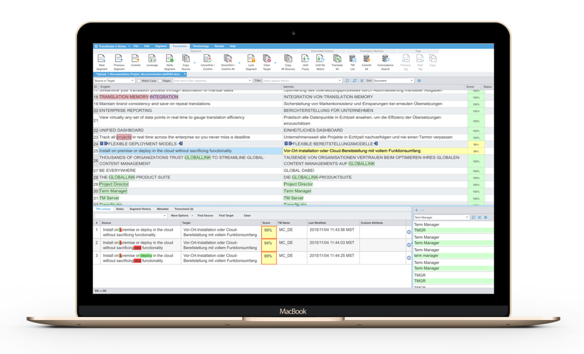 translation memory & term management