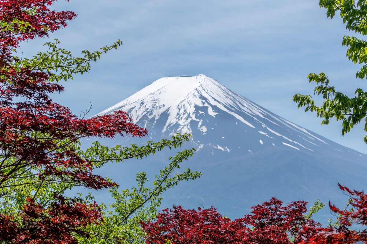 mount fuji