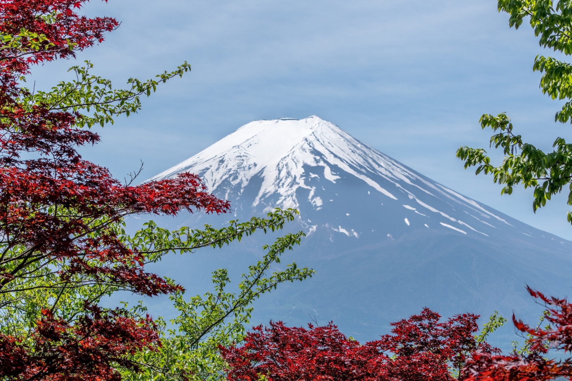 mount fuji